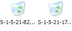 poistetut tiedostot recycler-kansiossa